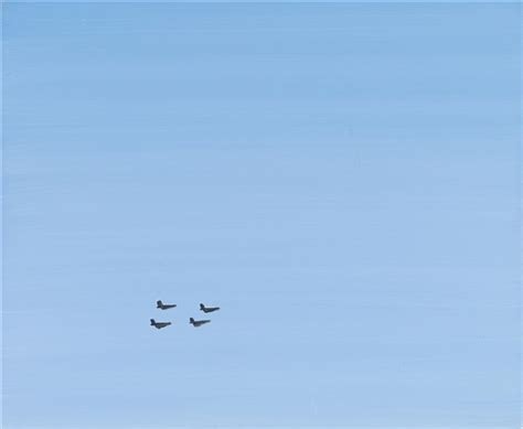 Ohne Titel Airplanes By Wilhelm Sasnal On Artnet