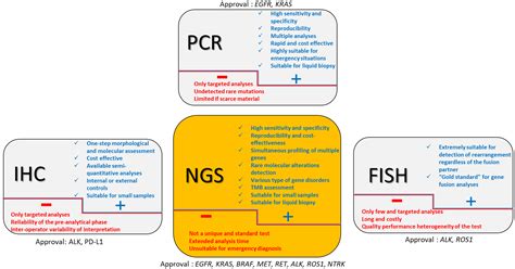 Jpm Free Full Text Molecular Profiling In Non Squamous Non Small Cell Lung Carcinoma