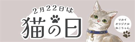 2月22日は「猫の日」 マルイウェブチャネル