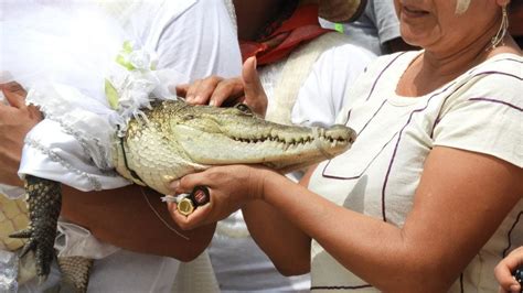 Hombre Se Casa Con Un Cocodrilo La Ins Lita Boda Que Solo Ocurre En