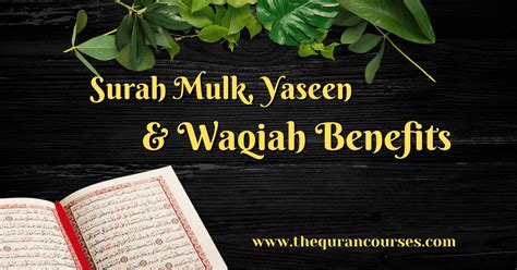 Surah Mulk And Its Benefits IMAGESEE