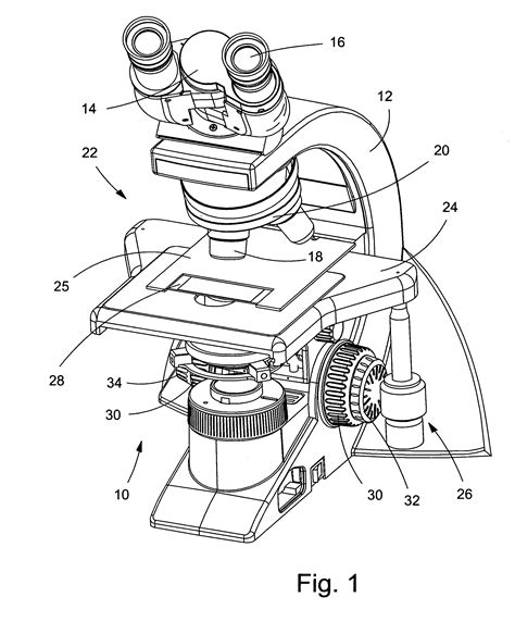 Microscope Drawing Worksheet at PaintingValley.com | Explore collection ...