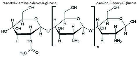 Structure of chitosan. | Download Scientific Diagram