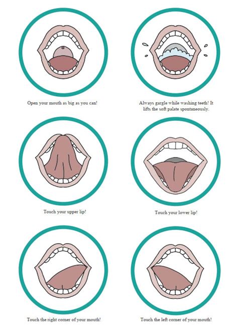 Tongue Exercises 18 Pictures Of The Oral Area Practising Speech Therapy