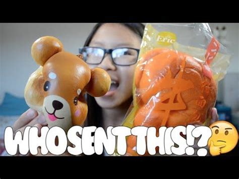 Mysterious Squishy Package Packaging Mystery Your Favorite