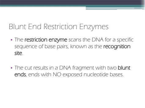 Ppt Restriction Enzymes Powerpoint Presentation Free Download Id 2562686