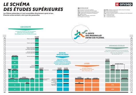 Sch Ma Des Tudes Sup Rieures Centre D Information Et D Orientation