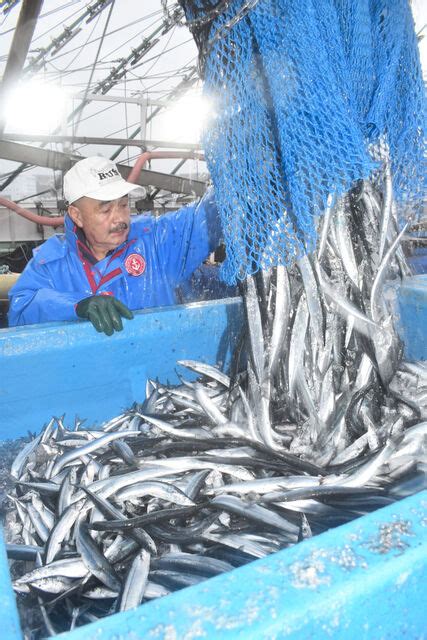 「漁場が少しずつ南下」 福島・小名浜でサンマ初水揚げ 河北新報オンライン