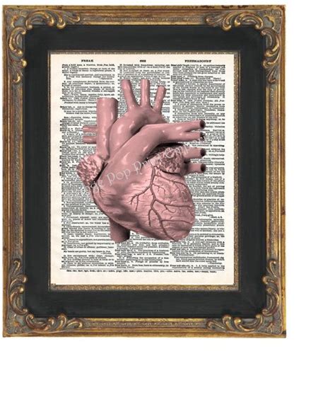 Anatomical Heart Art Print X Dictionary Page Altered Etsy