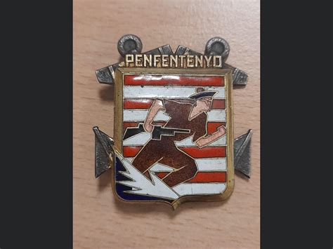 Pin Di Patrice Monsinjon Su Insignes Commandos Marine Et Fusiliers Marins