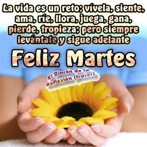 Feliz Martes Bellas Im Genes Y Frases P Gina De