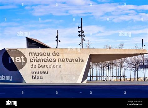 Nat Museu De Les Ci Ncies Naturals De Barcelona Museum Of Natural