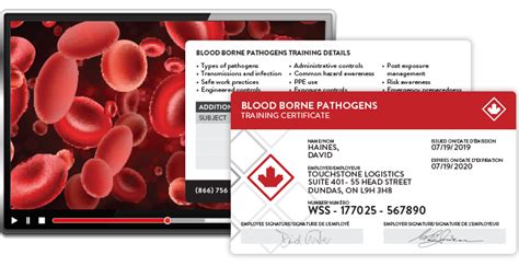 Bloodborne Pathogens Online Course Worksite Safety