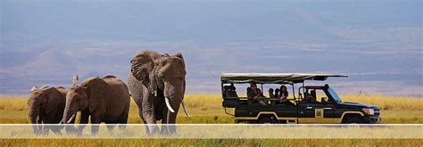 5 Days 4 Nights Kenya Fly In Safari Amboseli Masai Mara Luxury Safaris