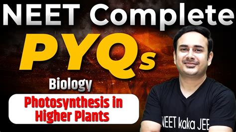 Photosynthesis In Higher Plants Neet Neet Complete Pyqs Youtube