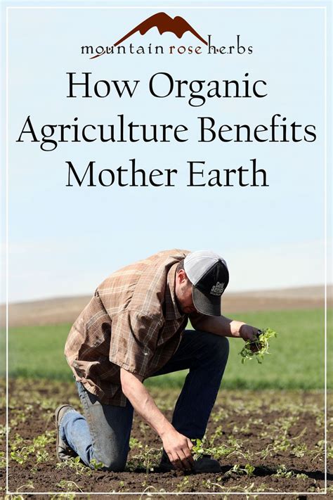 The Benefits of Organic Farming for People, Planet & Prosperity | Agriculture, Organic farming ...