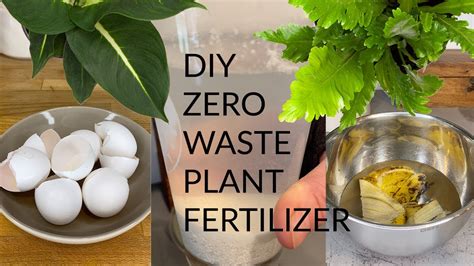 Homemade Indoor Plant Fertilizer Our Formula Sembrar100 Complete