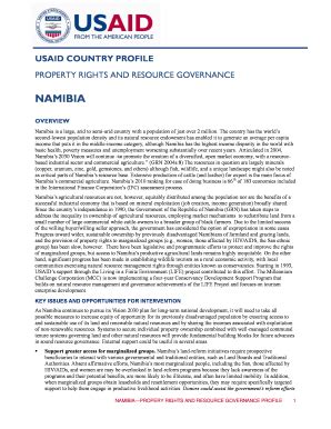 Fillable Online Pdf Usaid Prrgp Template Structure Final Version