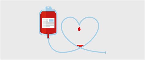 Blood Donation And Its Benefits Science Translated