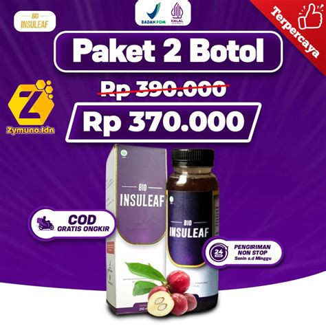 Jual Bio Insuleaf Paket 2 Box Herabal Alami Bantu Atasi Kencing Manis