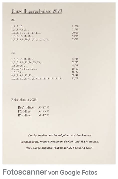 Brieftauben Auktion de 10 Gutschein für ZWEI Jungtauben 2024 von der