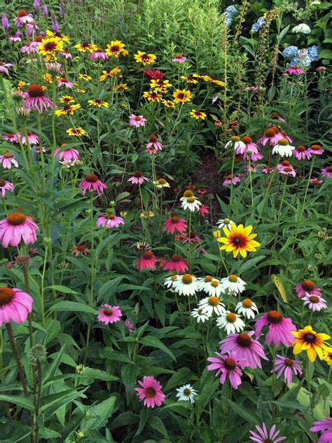 Pollinator Gardens Trail 2023 Recap Grow Wild Harford