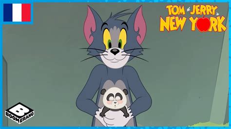 Tom And Jerry à New York 🇫🇷 Tom Et Le Panda Youtube