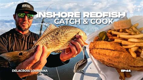 How To Catch Redfish Red Drum In The Gulf Of Mexico