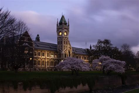 Pros And Cons Of Living In Dunedin New Zealand 2024