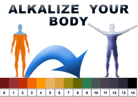 Alkalize Your Body Alkalize Your Body Alkaline Body Alkalize