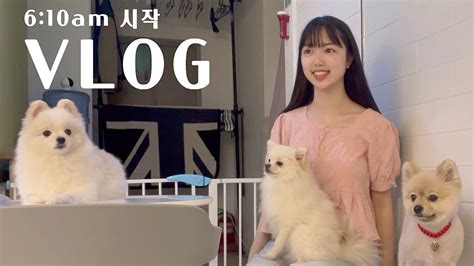 Vlog 6시 기상 아침독서 하고 컨설팅 받고 친구랑 혜화동 사진전 가고 댕댕이🐩와 함께한 하루 일상 갓생 브이로그