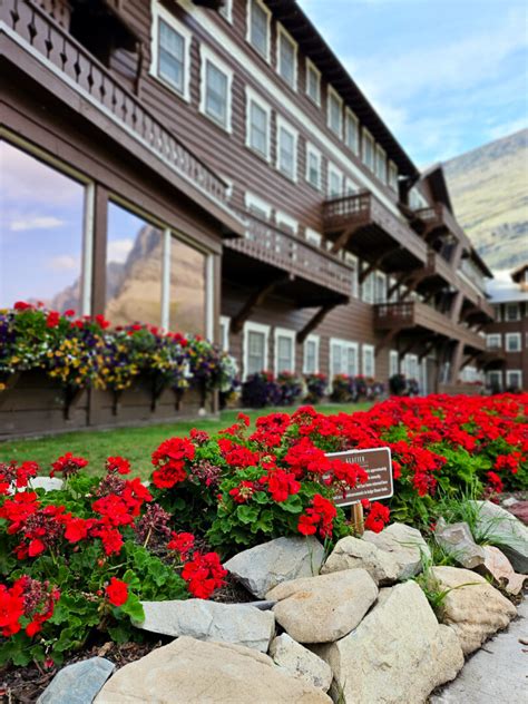 Majestic Many Glacier Hotel - A Swiss Chalet Inspired Historic Lodge ...