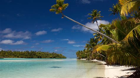 Best Things To Do In Rarotonga Cook Islands Escape Au