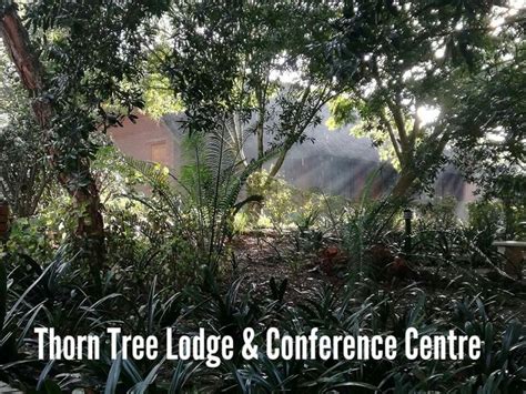 Thorn Tree Lodge