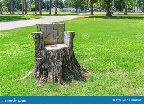 Natural Tree Stump Made Chair Stock Image Image Of Stump Alabama