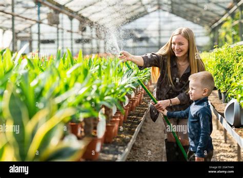 Woman Greenhouse Worker With Her Son Watering Plants With A Hose Stock