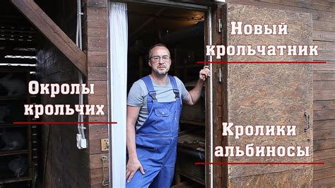 Окролы крольчих. Новый крольчатник. Кролики альбиносы. - YouTube