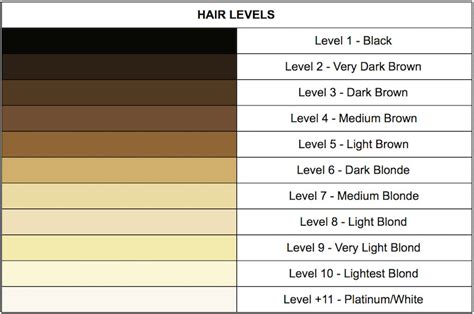 An Introduction To Hair Levels And Tones Finding Your Perfect Hair Co Ultimate Looks