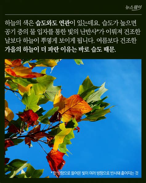 왜 하늘은 파란색인가요 알려주세요 ㅣ 궁금할 땐 아하