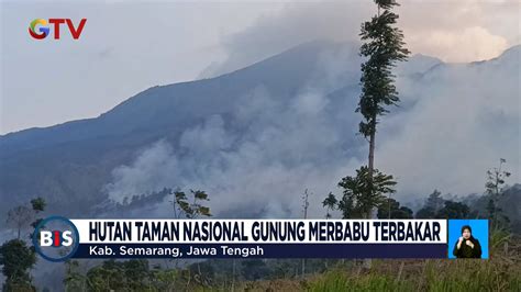 Indonesia Jam Hutan Taman Nasional Gunung Merbabu Terbakar Bis