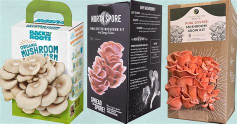 Custom Mushroom Growing Kit Boxes JoJoPackaging