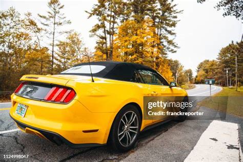 44 Yellow Mustang Convertible Stock Photos High Res Pictures And