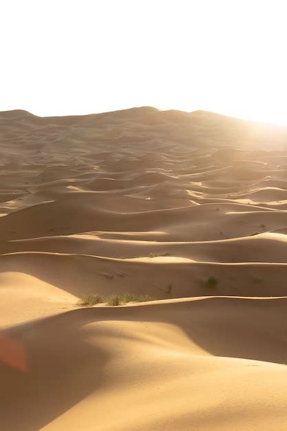 Beau Paysage De Dunes De Sable Dans Une Zone Désertique Par Une Journée