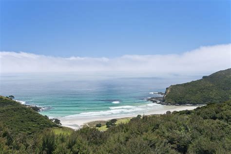 Top 9 Beaches in the Far North of New Zealand