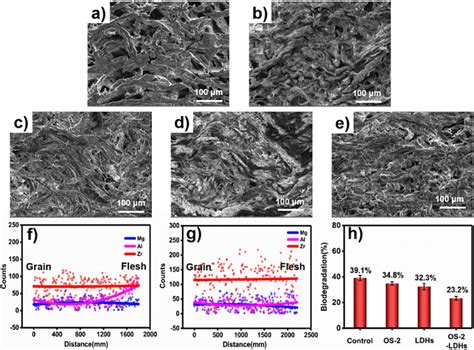 马建中教授团队在《carbohydrate Polymers》发表论文：战略性无铬鞣剂的开发——淀粉基水滑石复合材料 陕西科技大学科锐新材料研究所