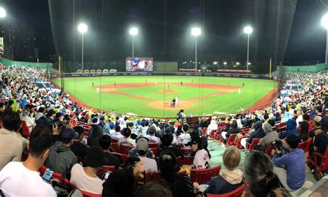 ラグザス Presents Wbsc プレミア12 2024 グループb 5日目 日本とチャイニーズタイペイがキューバとオーストラリアを下し