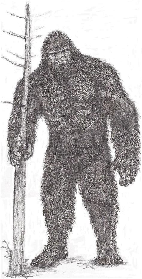 Bigfoot Sketch Bigfoot Drawing Bigfoot Illustration Bigfoot Art