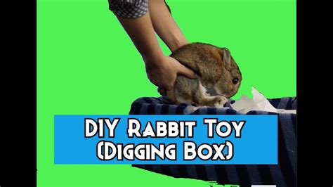 Super Easy Diy Rabbit Toy Digging Box Great To Make For Pet Rabbits