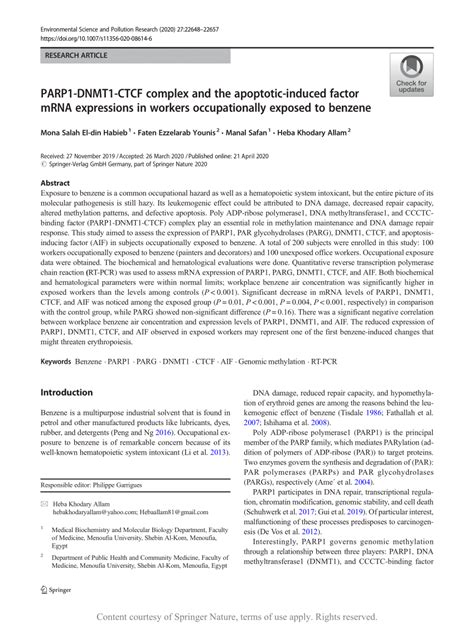 Parp Dnmt Ctcf Complex And The Apoptotic Induced Factor Mrna