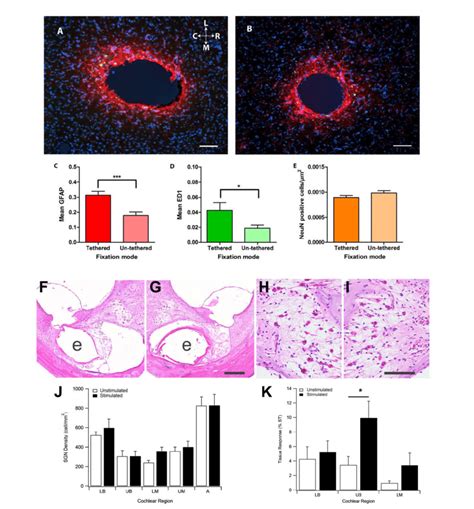 Examples Of Quantitative Histological Analysis Techniques Undertaken